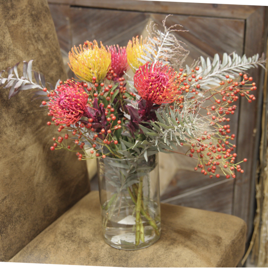 Strauß Protea Mix